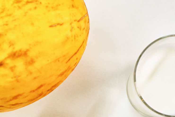 Kokos Melonen Kefirquark Zutaten - Köstliches Rezept mit Milchkefir - Zutaten - ganz einfach einen leckeren Drink mit Milch Kefir und Melone und Kokos herstellen - Lecker, gesund und einfach gut.