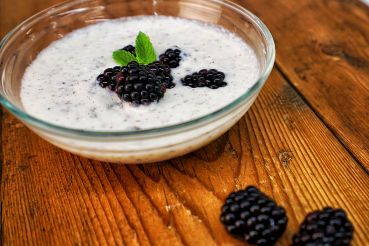 Kefir Stracciatella Cream – Vanilla meets Organic Kefir, Blackberries and Chocolate - The Final