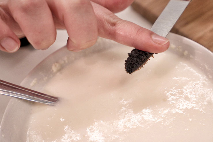 Kefir Stracciatella Cream – Vanilla meets Organic Kefir, Blackberries and Chocolate - The Vanilla