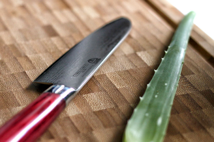 Aloe vera kombucha with chard und spinach- a great smoothie for hot days - the aloe vera