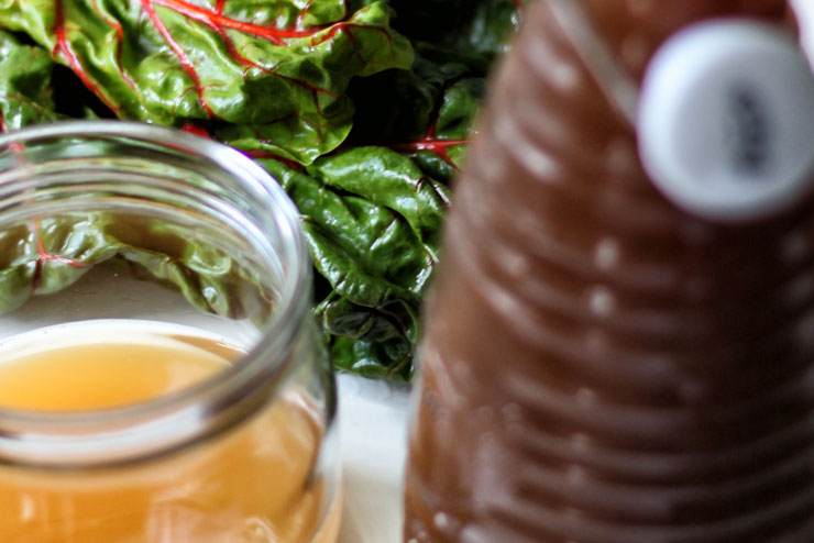 Aloe vera kombucha with chard und spinach- a great smoothie for hot days - the ingredients