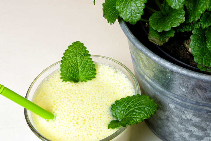 Mango Lassi Milch Kefir Getränk - ein einfaches und würziges Kefir Rezept