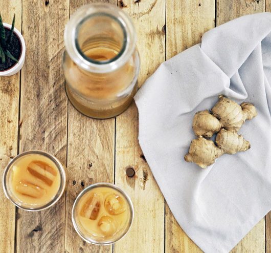 Ingwerspritz - Kombucha mit Ingwer und Zitrone - Scharfer Liebling im Glas