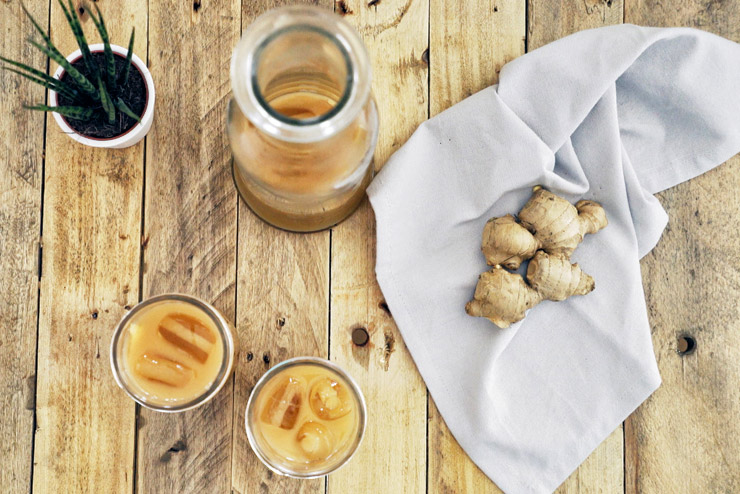 Ginger kombucha drink - Kombucha with ginger and lemon - The spicy friend on ice - the final