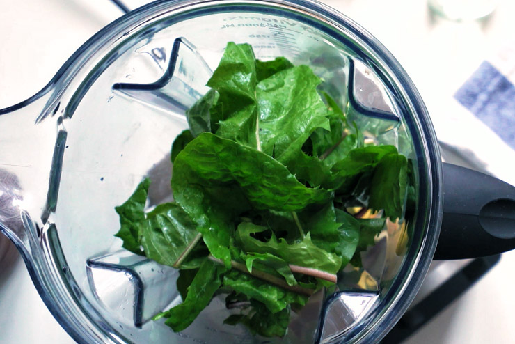 Dandelion kombucha smoothie with spinach, barley grass and apple - a herb fairy full of power - the spinach
