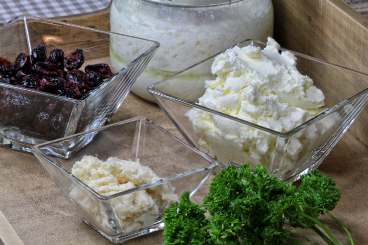 Kefir cranberry cream cheese with parsley and horseradish - a breakfast idea with milk kefir - the ingredients