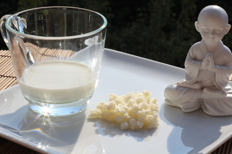 Milchkefir kaufen in Bio Qualität