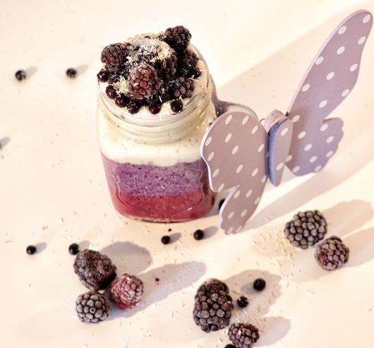 Milchkefir Beeren Frühstück - Ein Kefirtraum aus Heidelbeeren, Brombeeren, Banane und Kokos - Titelbild