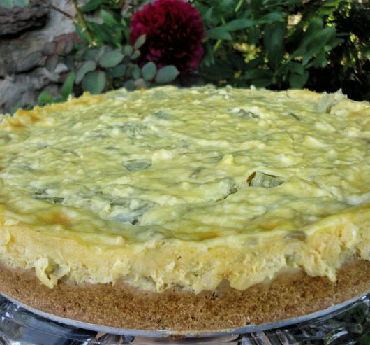 Milchkefir Rharbarberkuchen - ein lecker fruchtiger Sommertraum - Kuchen