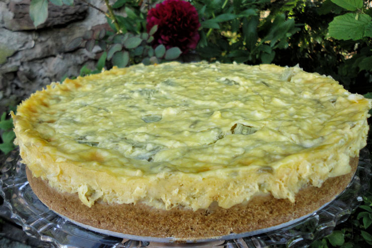 Milk kefir rhubarb cake- a tasty and fruity summer dream - cake