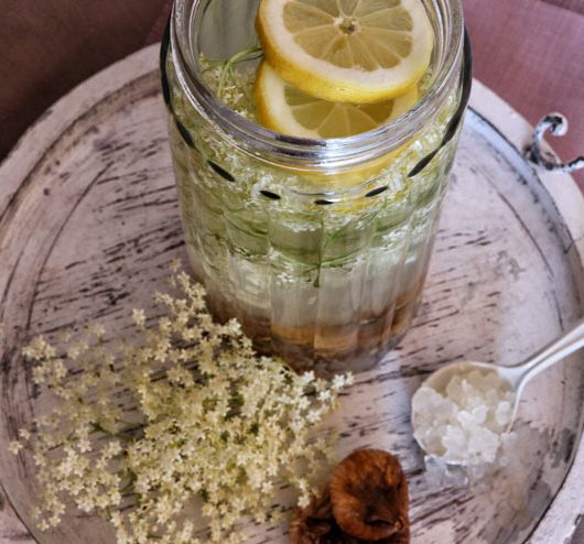 water kefir cold batch with fruit-, and herbal teas - main picture