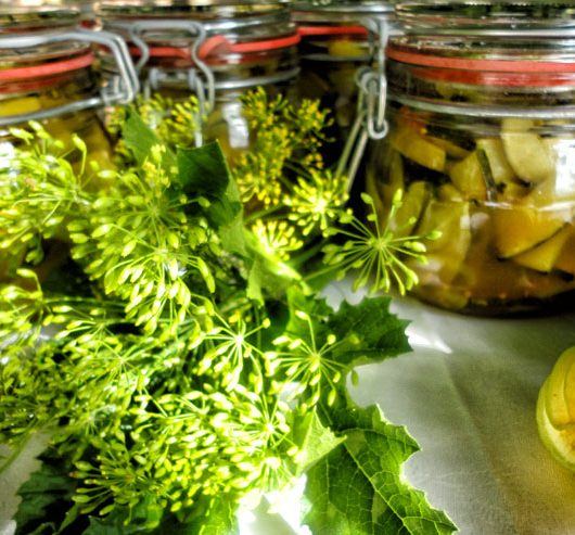 easy selfmade kombucha vinegar - with a tasty pickled zucchini recipe - zucchini in glasses