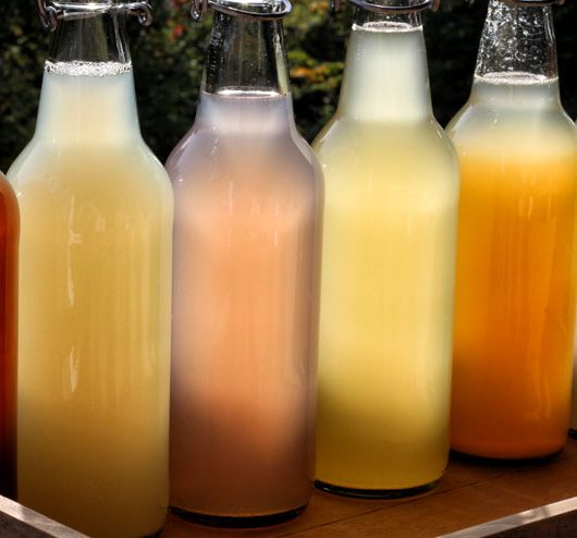 Wasserkefir selber machen - Wasserkefir in Flaschen