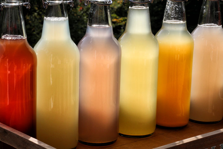 selfmade water kefir - water kefir bottles