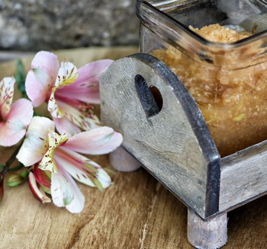 Wasserkefir Apfelmus - ein fruchtiges Kefirdessert mit Zimt - Hauptbild
