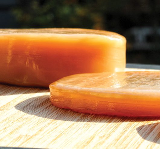 Kombucha selber machen - einfache, schnelle Anleitung für zu Hause -Kombucha scoby