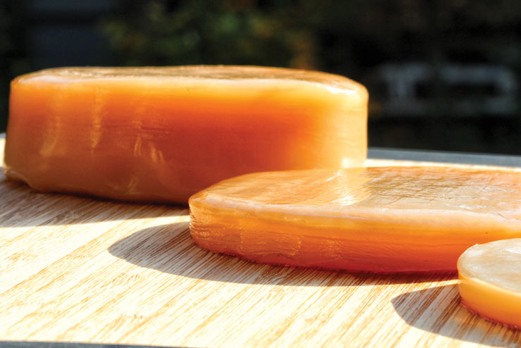 selfmade kombucha - quick and easy instruction - kombucha scoby