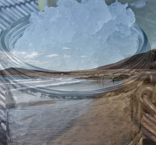 Was tun mit meinem Wasserkefir bei Urlaub oder Kefir Pause? - Titelbild