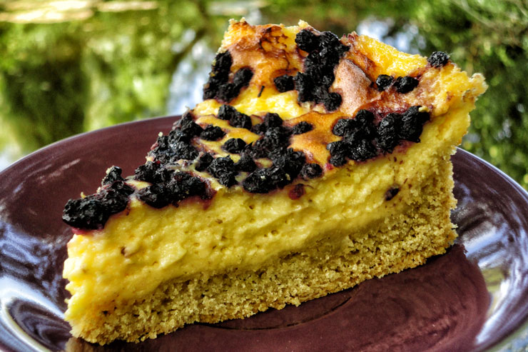 kefir blueberry cake - a sweet milk kefir recipe with fruity blueberries - blueberry cake recipe