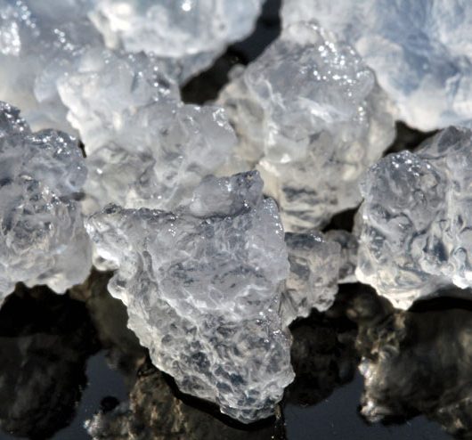 Was ist Kahmhefe? – 6 Strategien gegen Kahmhefe im Wasserkefir - Wasserkefir Kristalle