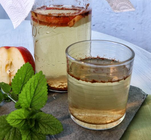 Apfel Zimt Kombucha - ein herbstliches Kombucha Rezept- Kombucha Getränk