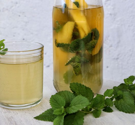 Zweite Fermentation mit Wasserkefir – eine einfache Anleitung mit Rezept- Hauptbild