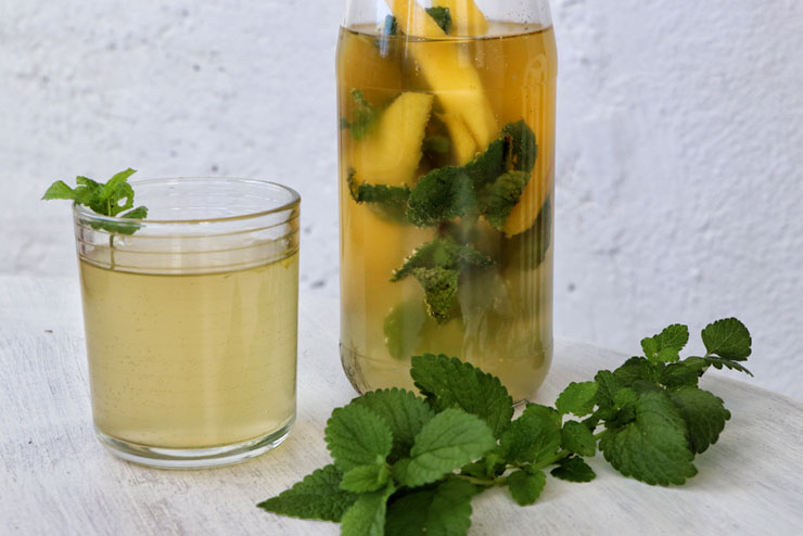 Zweite Fermentation mit Wasserkefir – eine einfache Anleitung mit Rezept- Hauptbild