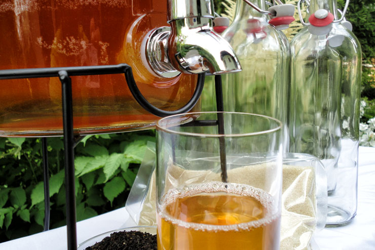 Alkoholfreier Kombucha: Geht das? – 6 Strategien für einen alkoholfreien Kombucha - Kombucha Getränk