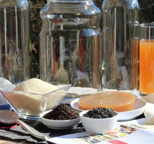 Was brauche ich an Material um Kombucha selber zu machen?- komplettset