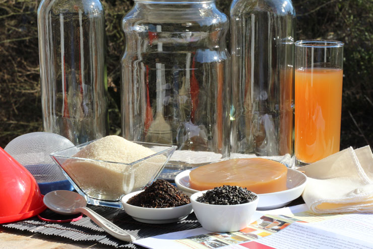 What do I need to make my own selfmade kombucha? - starter kit