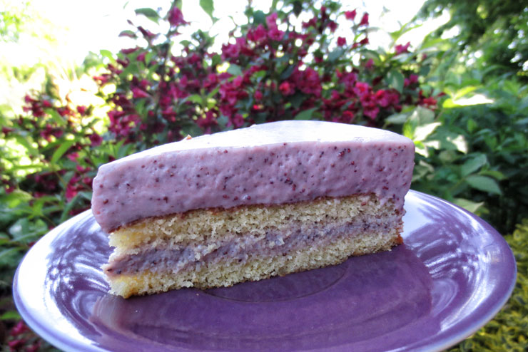 Milk kefir strawberry cake - a delicious kefir cake recipe - kefir cake