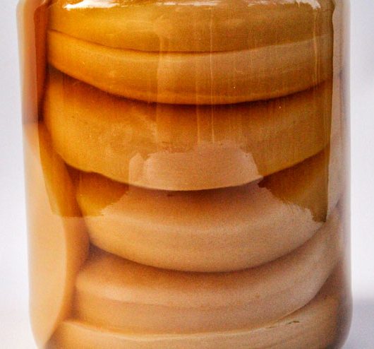 Scoby Hotel –Kombucha Pilze richtig lagern - Hauptbild