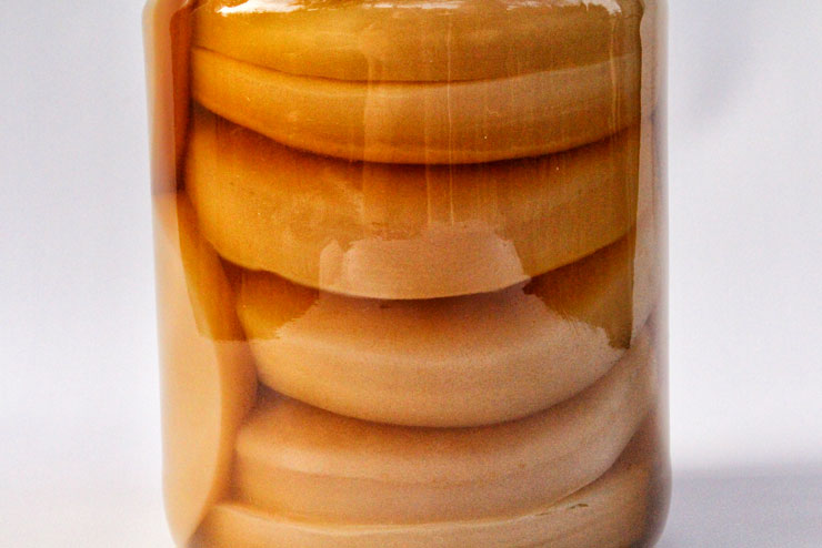 SCOBY Hotel – How to store your kombucha tea fungi - main pic