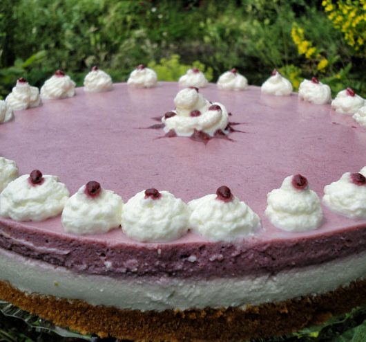 Holunder Kefir Torte – ein fruchtig süßer Genuss mit selbst gemachten Kefir