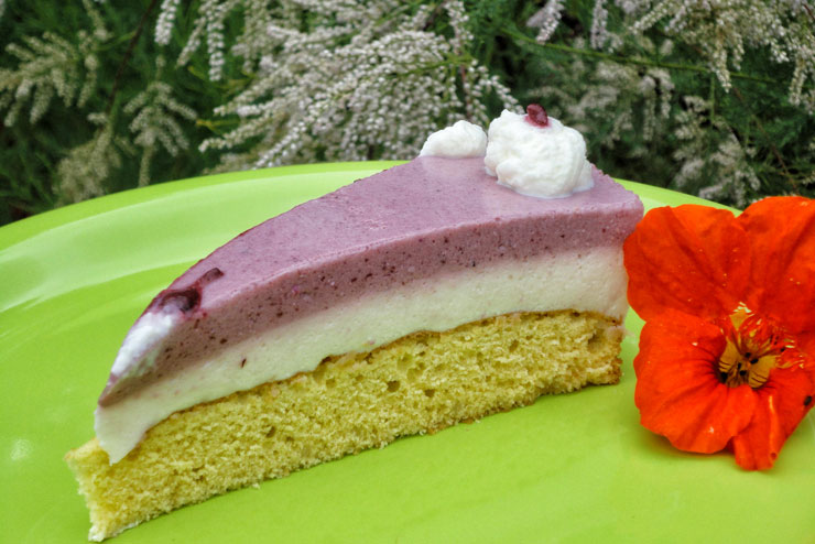 Holunder Kefir Torte – ein fruchtig süßer Genuss mit selbst gemachten Kefir