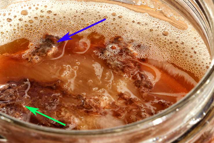 Hefe-Schlieren, Kombucha, kein Schimmel