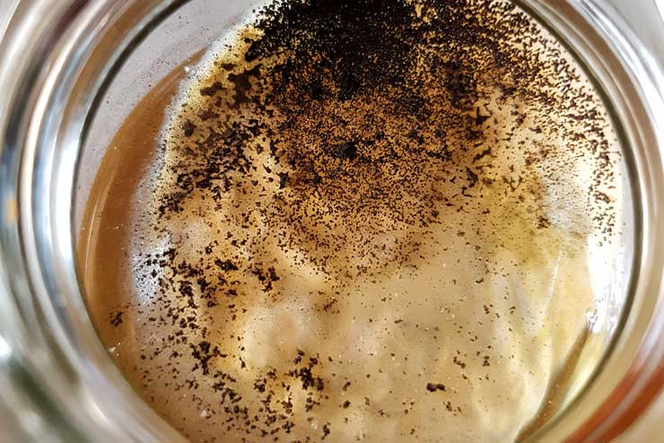 Schimmel, Kombucha, Schimmelbildung, erkennen, schwarzer